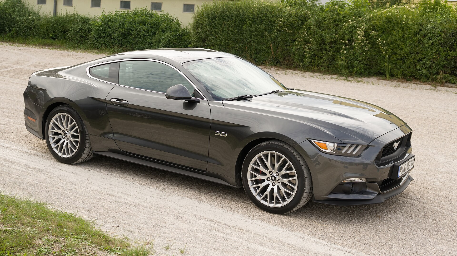 ​Дизайнеры Ford признались в любви к кошкам